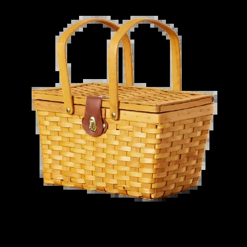 Trousse de conseillère à 500$